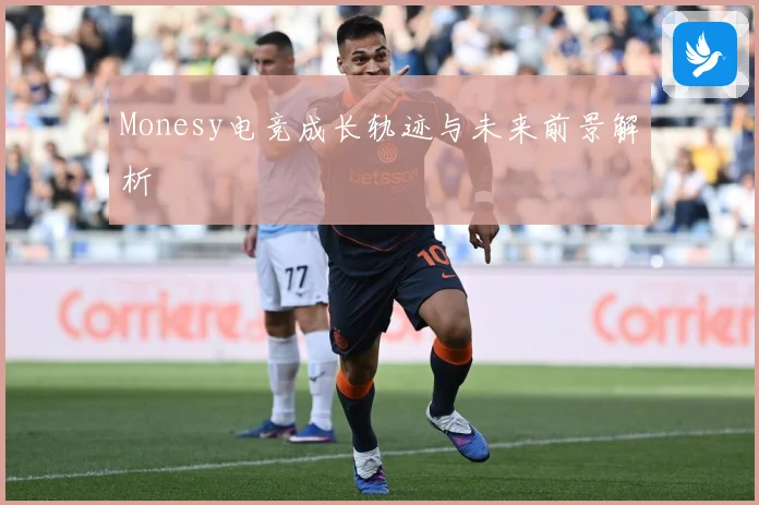 Monesy电竞成长轨迹与未来前景解析