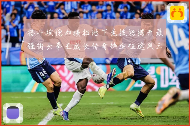格斗埃德加横扫地下竞技场揭开最强街头拳王成长传奇热血征途风云录解析