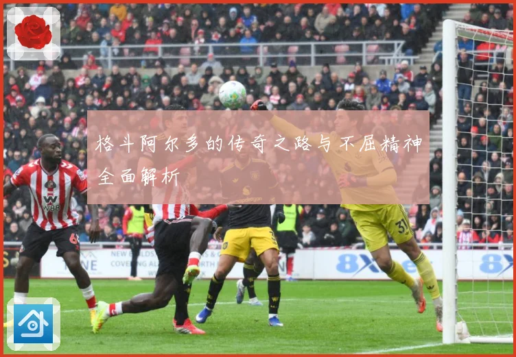 格斗阿尔多的传奇之路与不屈精神全面解析