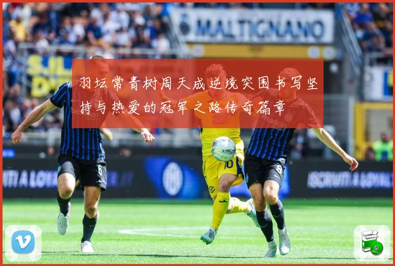 羽坛常青树周天成逆境突围书写坚持与热爱的冠军之路传奇篇章