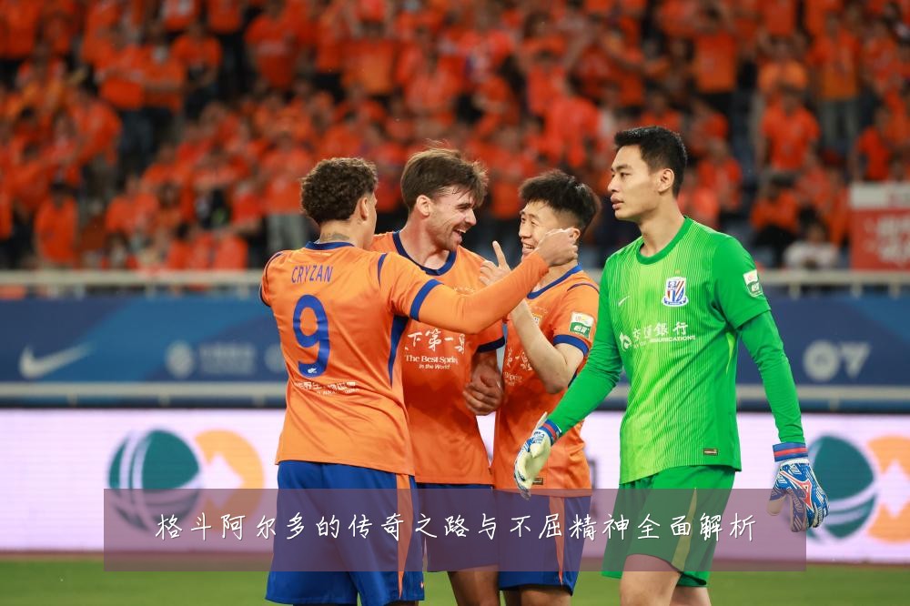 格斗阿尔多的传奇之路与不屈精神全面解析
