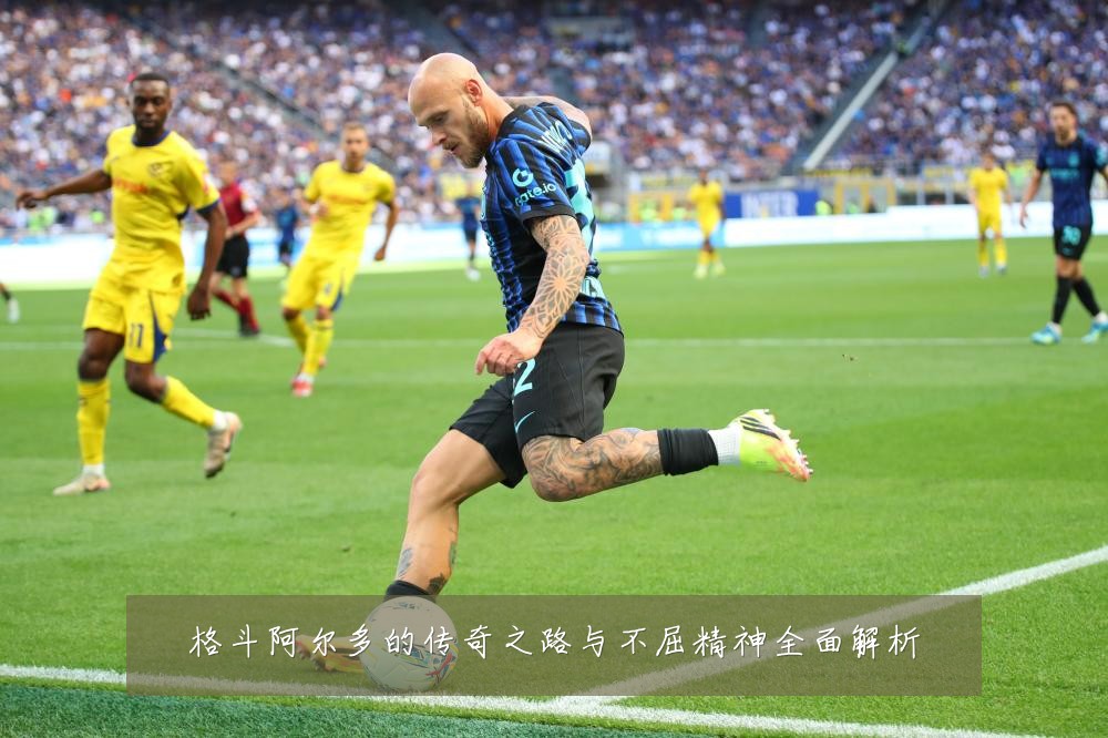 格斗阿尔多的传奇之路与不屈精神全面解析